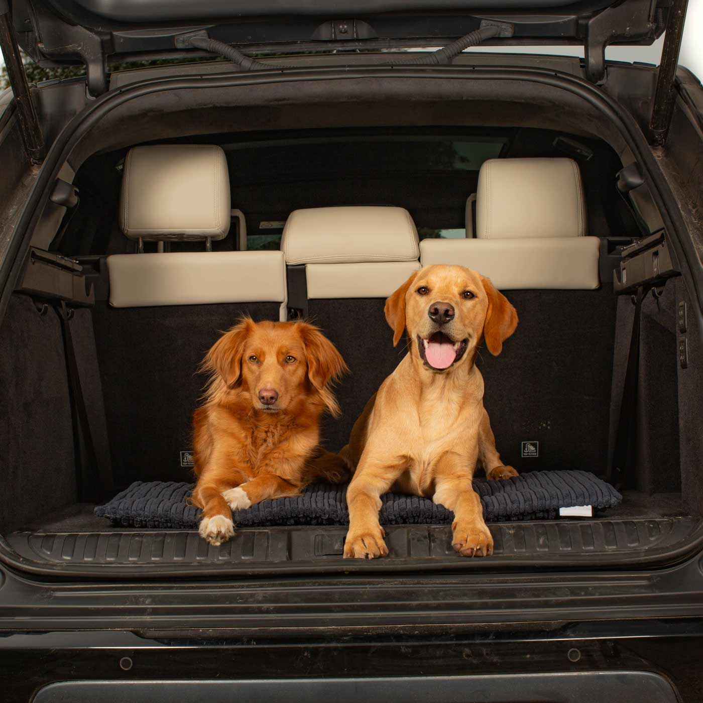 Embark on the perfect pet travel with our luxury Travel Mat in Essentials Navy. Featuring a Carry handle for on the move once Rolled up for easy storage, can be used as a seat cover, boot mat or travel bed! Available now at Lords & Labradors