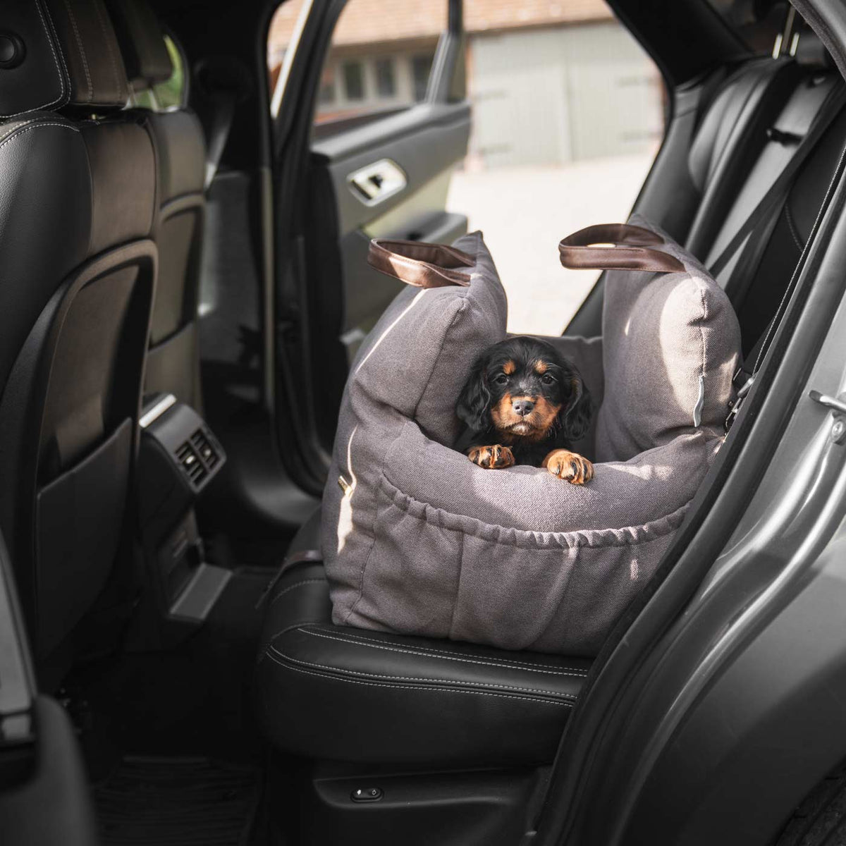 Lords & Labradors Easy Traveller in Truffle