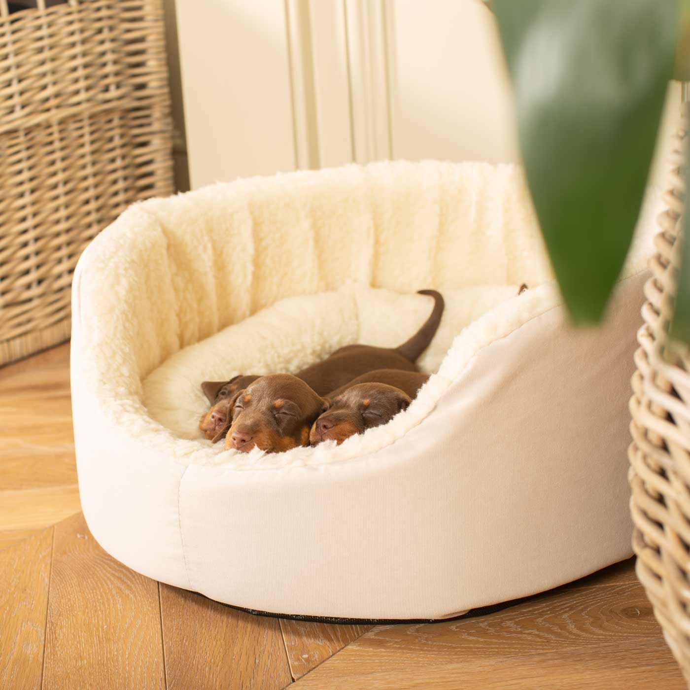  Grow With me Puppy Oval Bed, Crafted From Plush Sherpa Fleece & Suede Outer, Complete With Foam Inner For The Perfect Bed For Your Dog! Available Now at Lords & Labradors