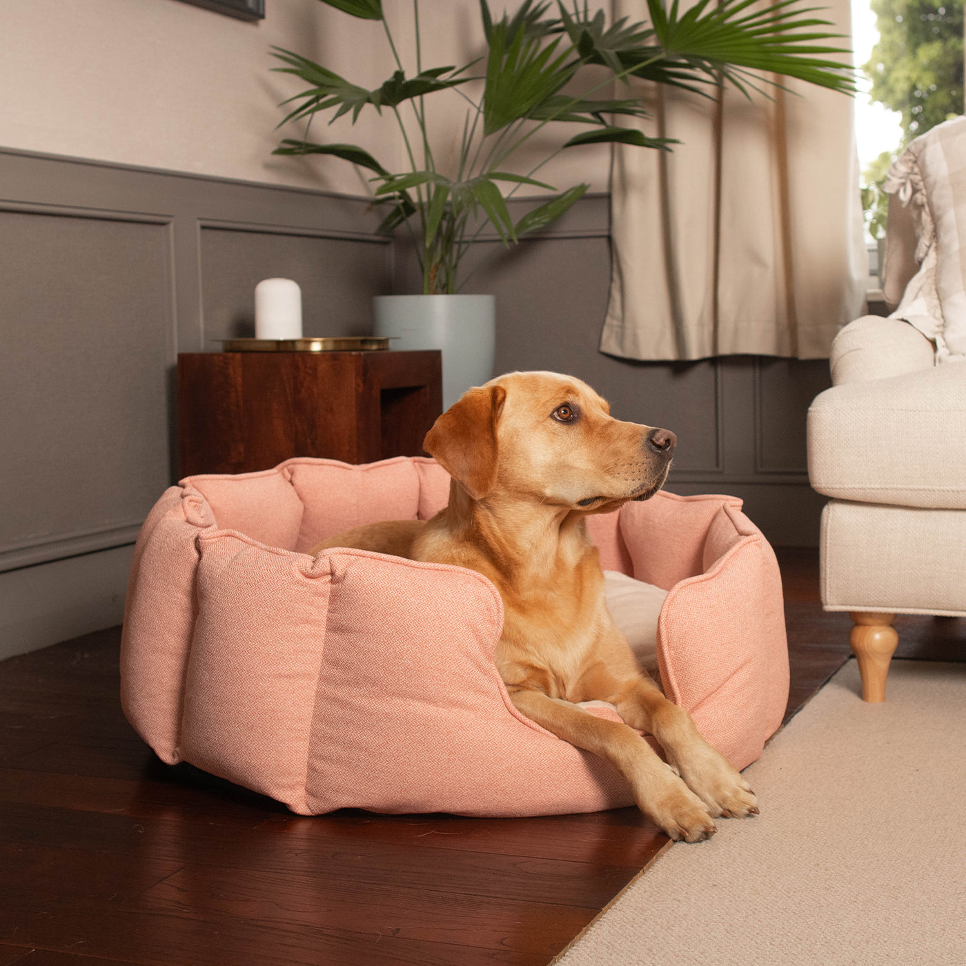 High Wall Bed With Removable Covers in Peony Orkney Tweed by Lords & Labradors