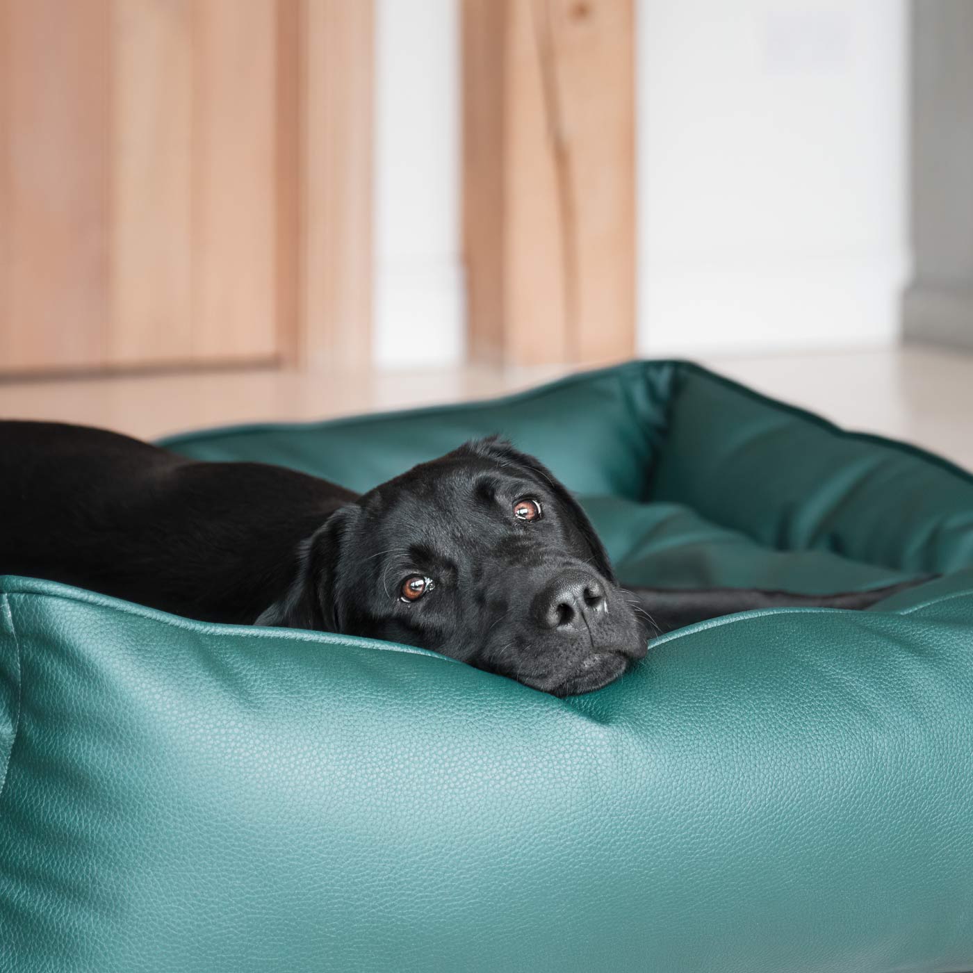 Box Bed With Removable Covers in Rhino Tough Forest Faux Leather by Lords Labradors