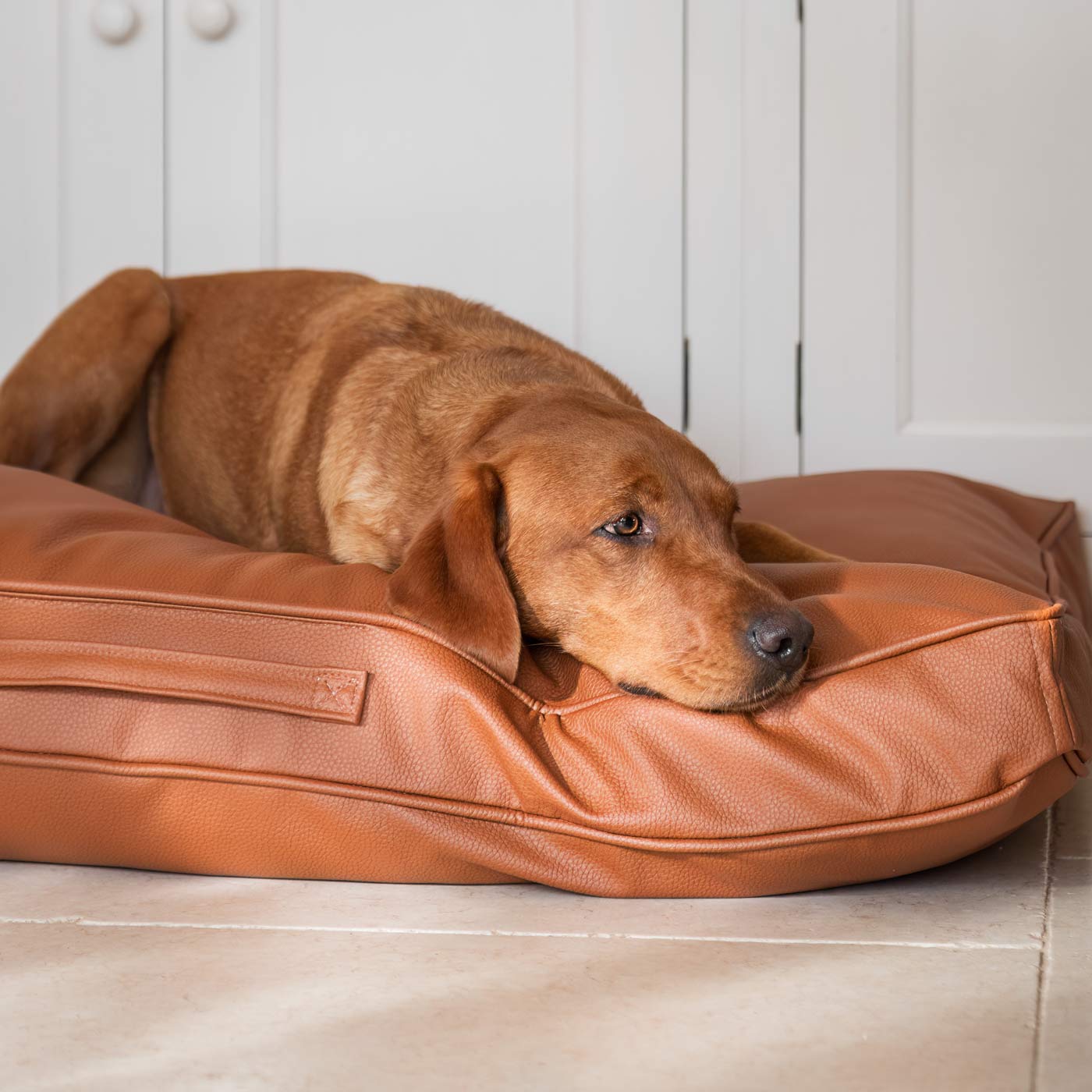 Luxury Dog Cushion in Rhino Tough Ember Faux Leather, The Perfect Pet Bed Time Accessory! Available Now at Lords & Labradors