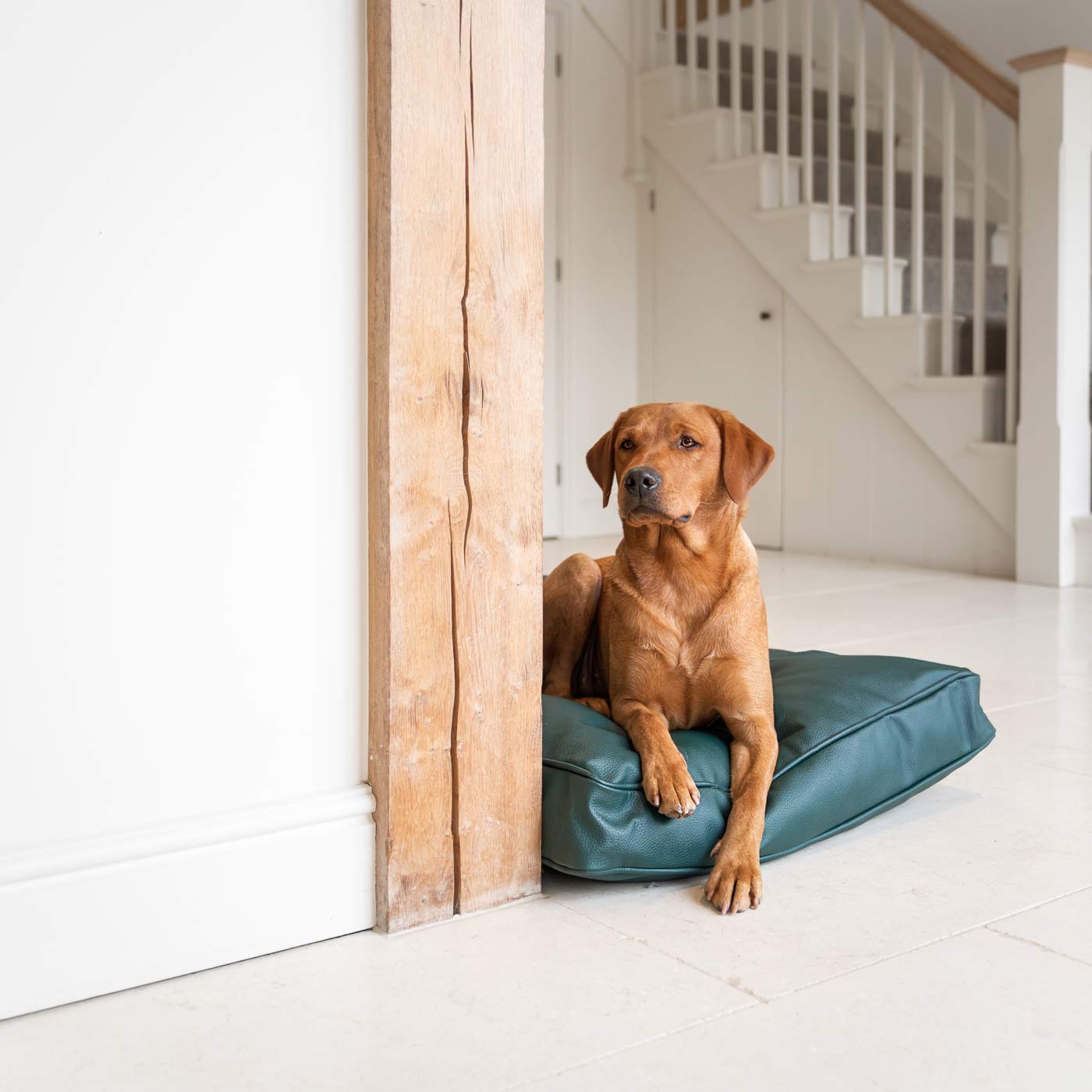 Luxury Dog Cushion in Rhino Tough Forest Faux Leather, The Perfect Pet Bed Time Accessory! Available Now at Lords & Labradors