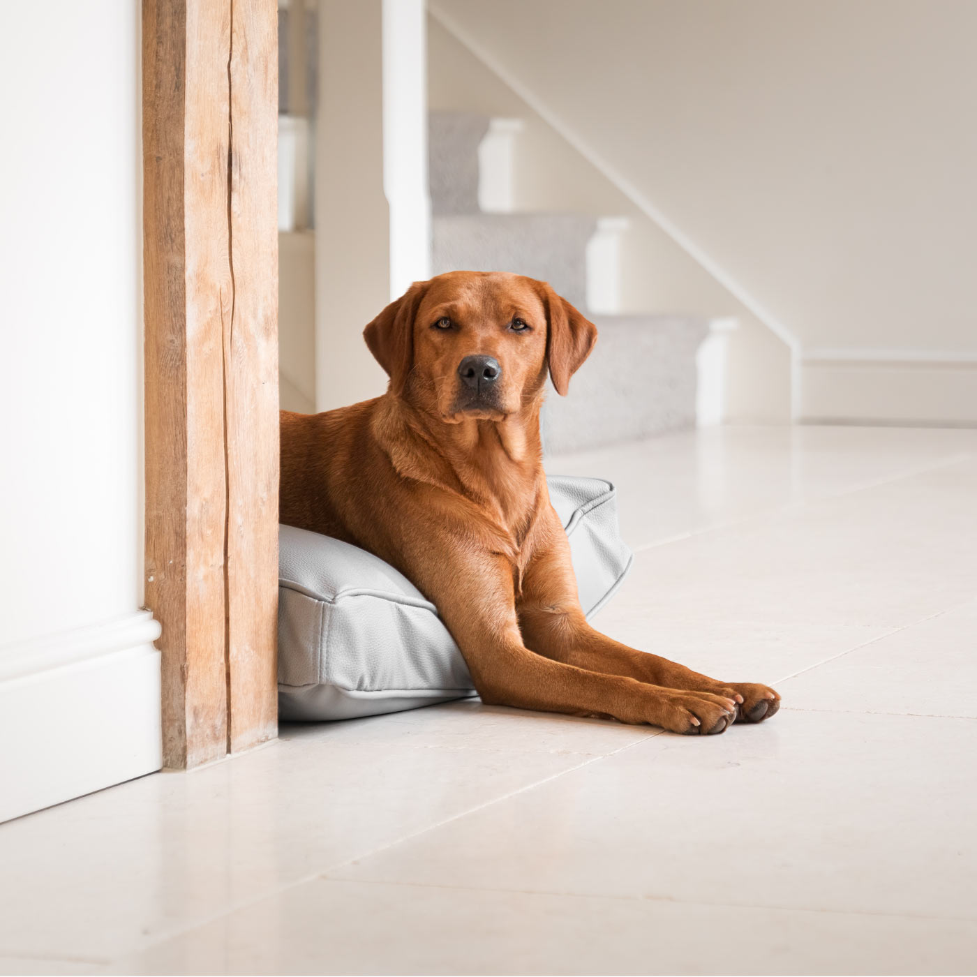 Dog Cushion in Rhino Tough Granite Faux Leather by Lords & Labradors