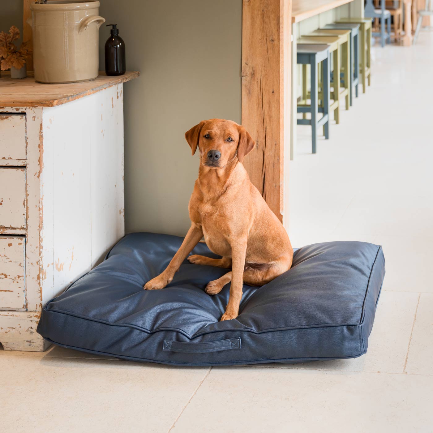 Luxury Dog Cushion in Rhino Tough Pacific Faux Leather, The Perfect Pet Bed Time Accessory! Available Now at Lords & Labradors