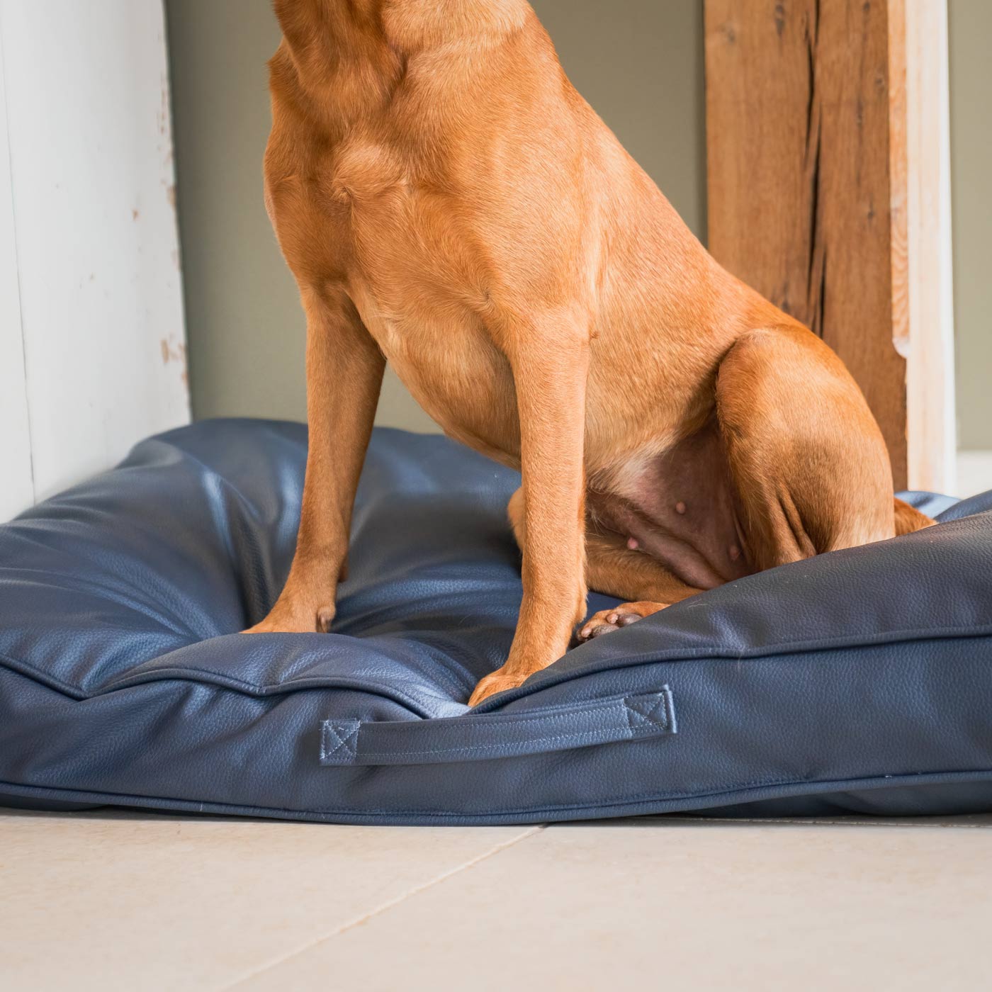 Rhino Tough Dog Cushion in Pacific Faux Leather by Lords & Labradors