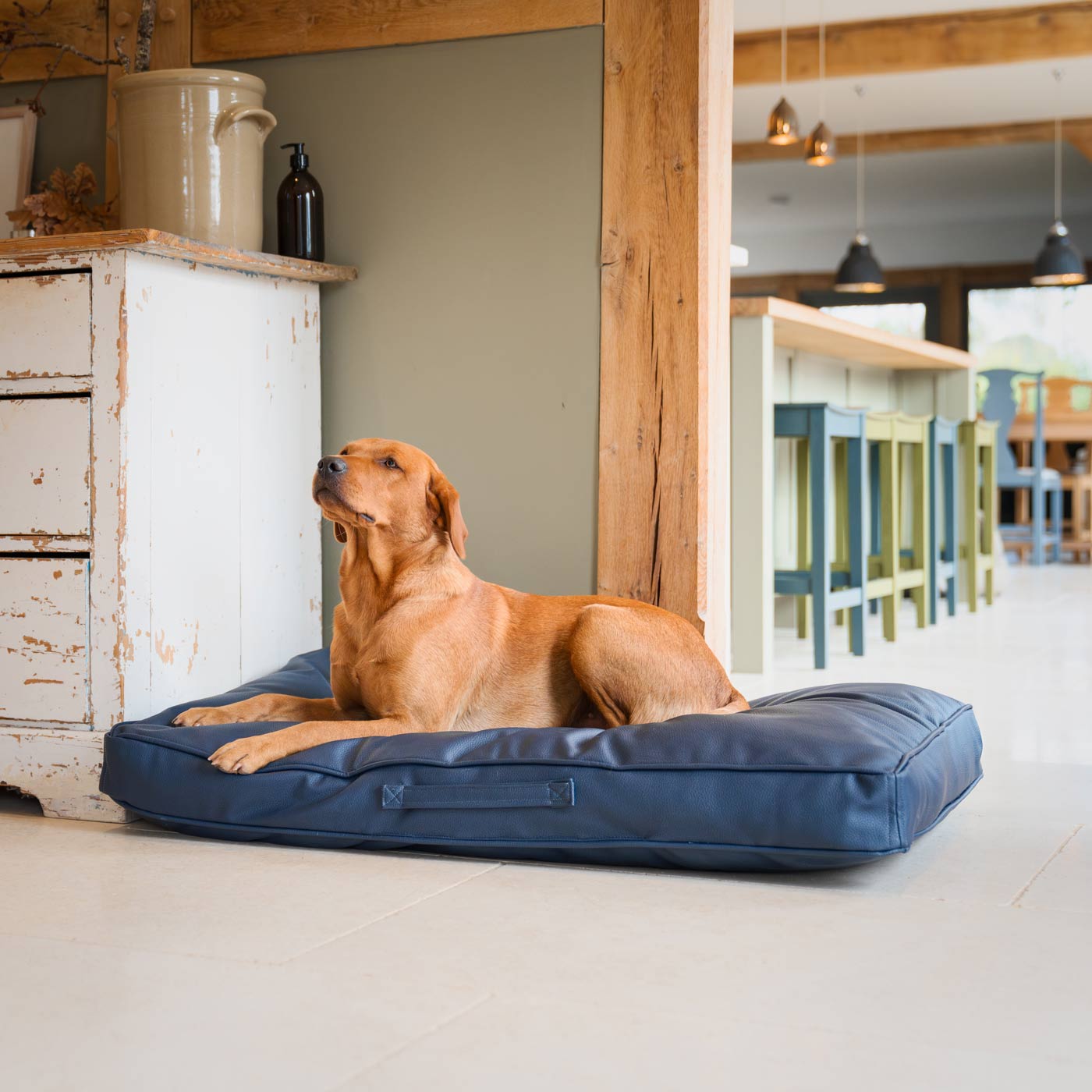 Luxury Dog Cushion in Rhino Tough Pacific Faux Leather, The Perfect Pet Bed Time Accessory! Available Now at Lords & Labradors