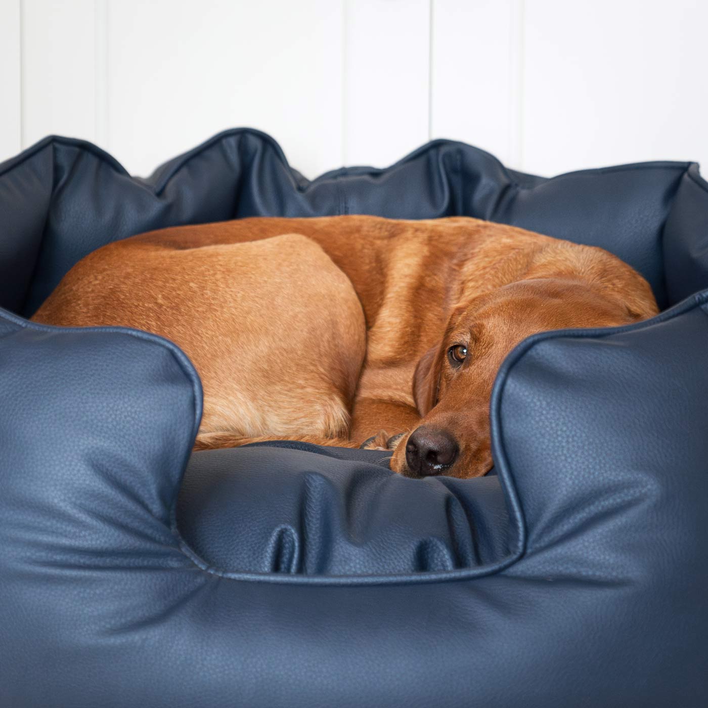 Luxury Handmade High Wall in Rhino Tough Faux Leather, in Pacific, Perfect For Your Pets Nap Time! Available To Personalise at Lords & Labradors