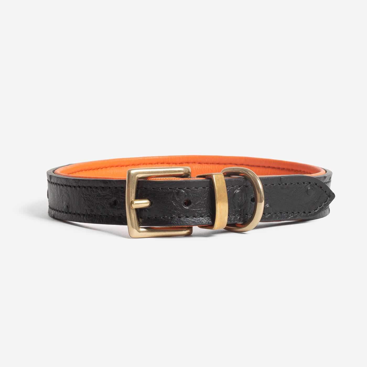 Ostrich Leather Dog Collar in Black & Orange by Lords & Labradors