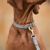 Ostrich Leather Dog Lead in Grey & Orange by Lords & Labradors