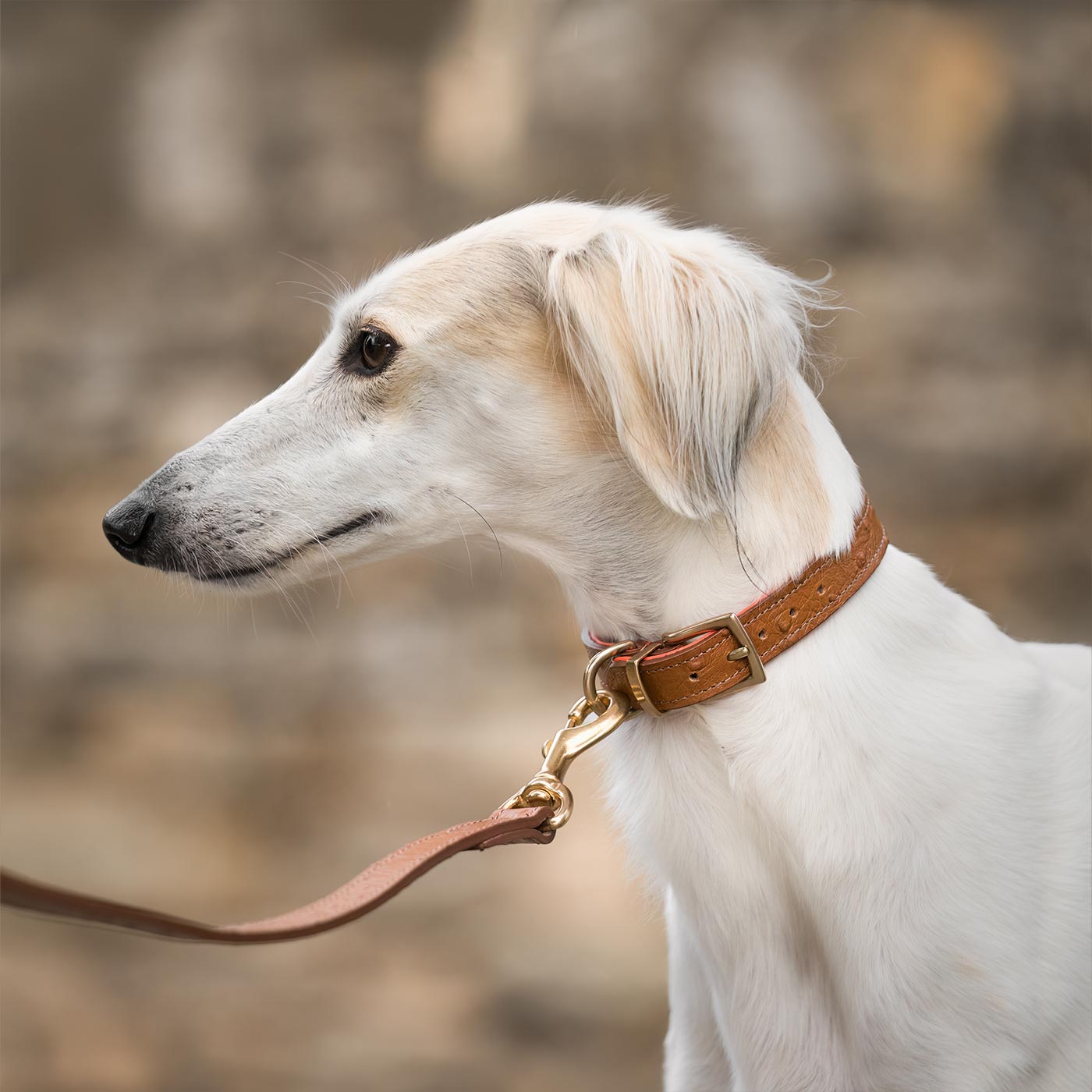 Discover dog walking luxury with our handcrafted Italian Ostrich leather dog Lead in Tan & Orange! The perfect Lead for dogs available now at Lords & Labradors