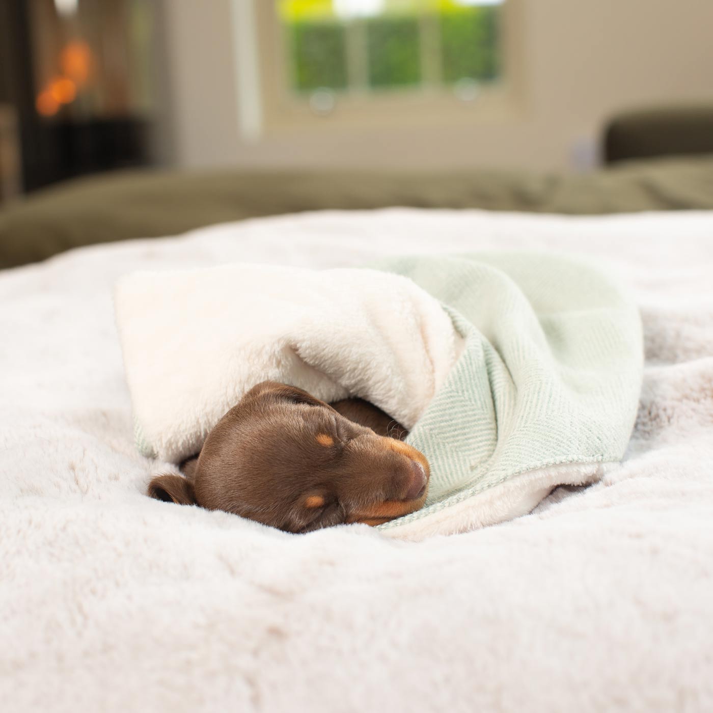 Luxury Herringbone Pet Scent Blanket collection, In Stunning Duck Egg Herringbone. The Perfect Blanket For Dogs, Available at Lords & Labradors