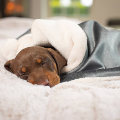 Luxury Velvet Pet Blanket, In Stunning Elephant Velvet. The Perfect Blanket For Dogs, Available at Lords & Labradors