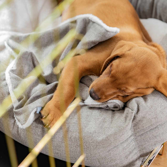 Discover The Perfect Scented Blanket For Puppies! Help Your New Furry Friend Settle Into Their New Home With Our Inchmurrin Scented Puppy Blanket In Stunning Dark Grey Ground! Available Now at Lords & Labradors 