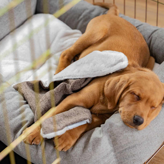 Discover The Perfect Scented Blanket For Puppies! Help Your New Furry Friend Settle Into Their New Home With Our Inchmurrin Scented Puppy Blanket In Stunning Brown Ember! Available Now at Lords & Labradors 