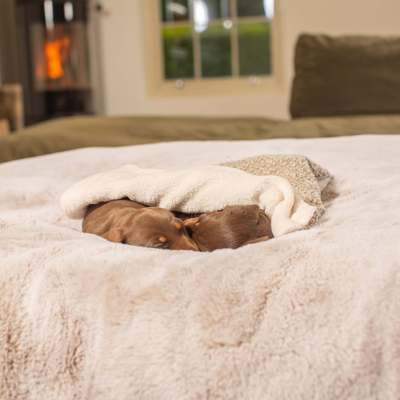 [colour:mink boucle] Luxury Boucle Pet Scent Blanket collection, In Stunning Mink Boucle. The Perfect Blanket For Dogs, Available at Lords & Labradors