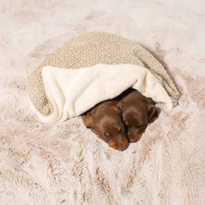Puppy Scent Blanket in Bouclé and Sherpa Fleece