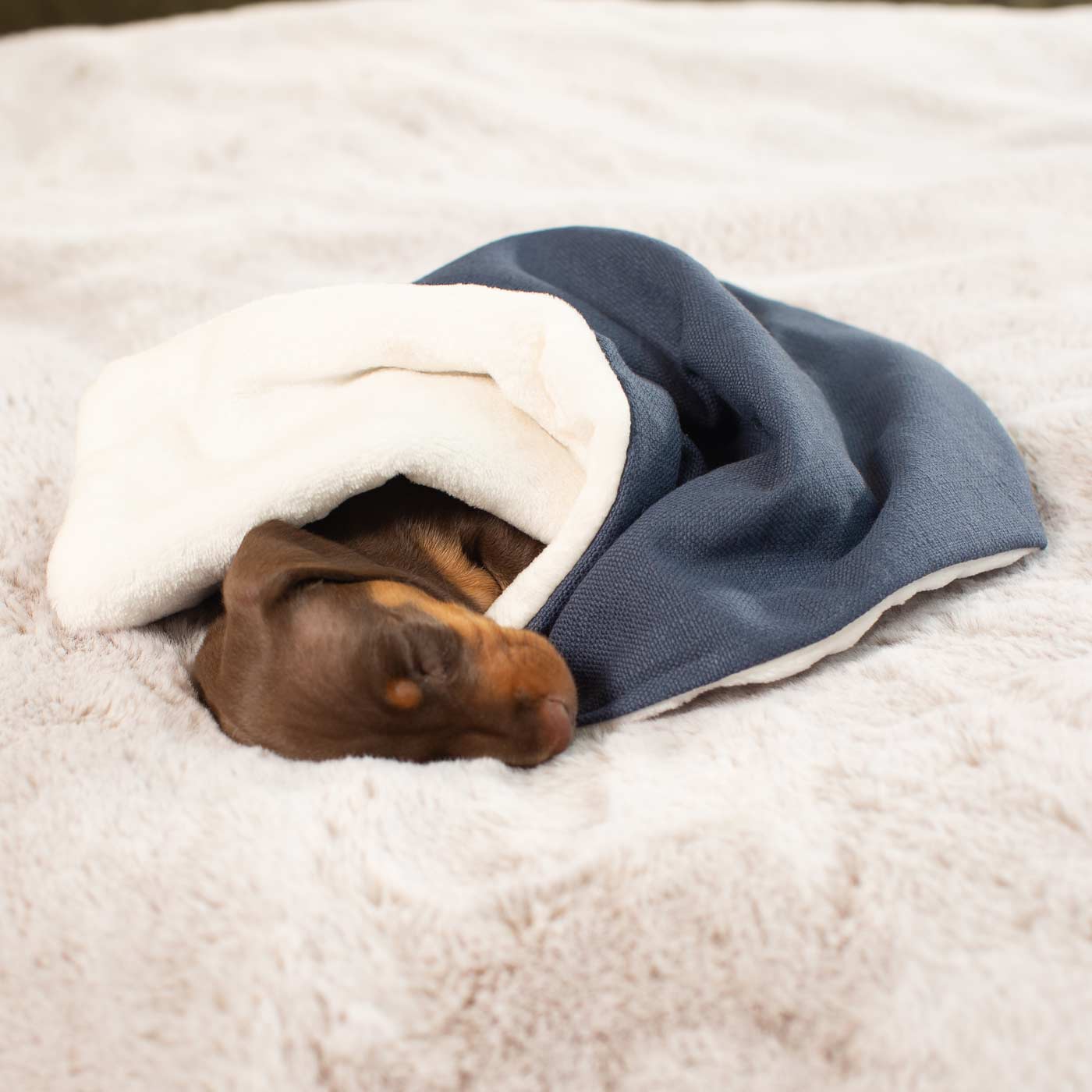 Puppy Scent Blanket in Savanna Indigo and Sherpa Fleece Lords