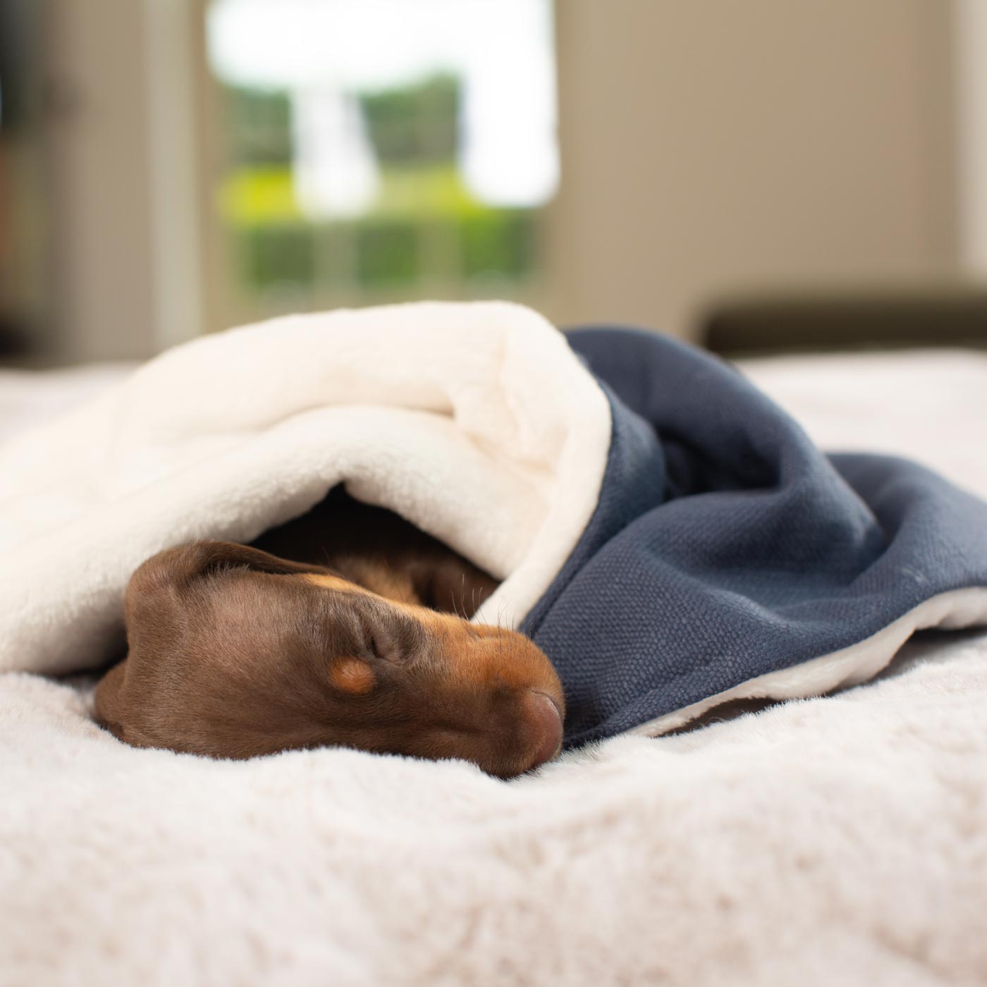 Puppy Scent Blanket in Savanna Indigo and Sherpa Fleece Lords