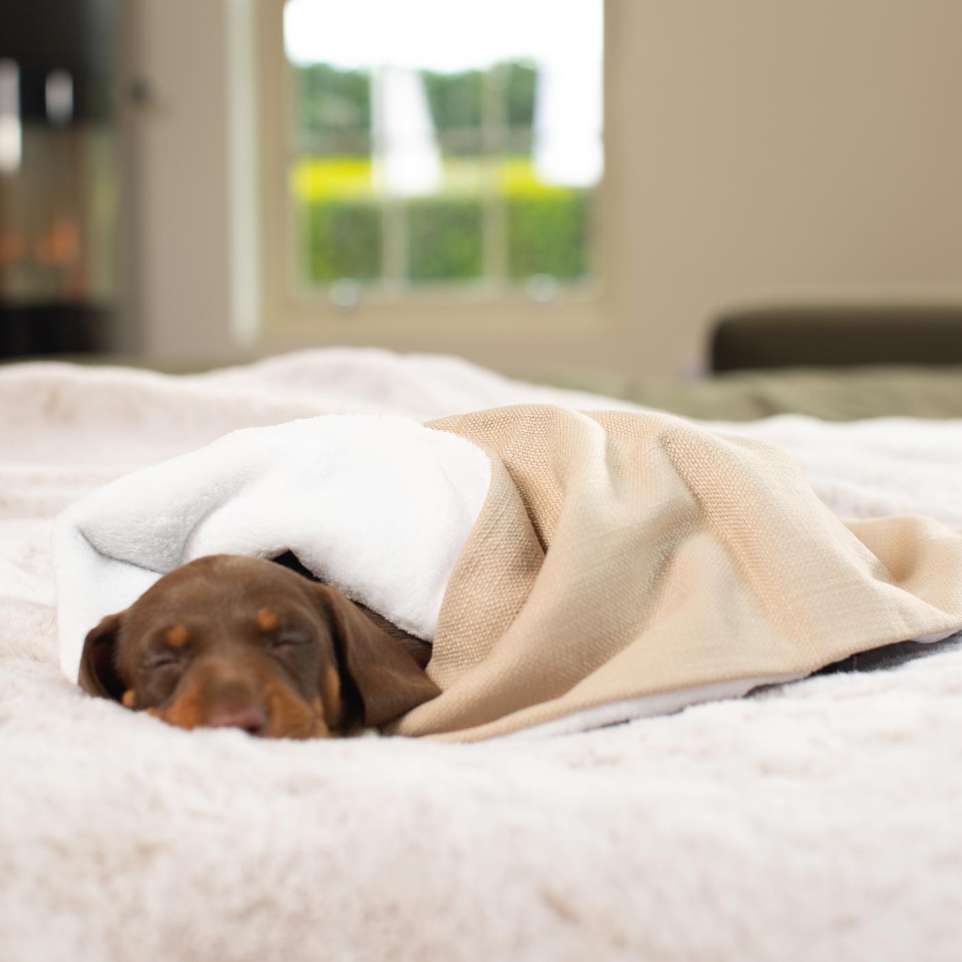 Luxury Savanna Pet Blanket collection, In Stunning Savanna Oatmeal. The Perfect Blanket For Dogs, Available at Lords & Labradors