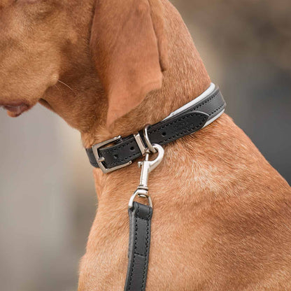 Discover dog walking luxury with our handcrafted Italian padded leather dog Lead in Black & Grey! The perfect Lead for dogs available now at Lords & Labradors    