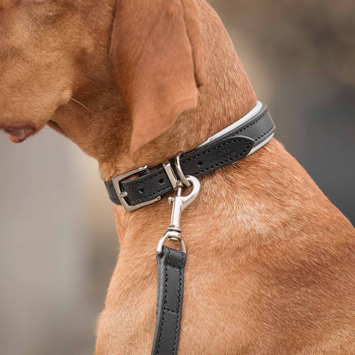 Italian Padded Leather Dog Lead in Black Grey by Lords Labradors