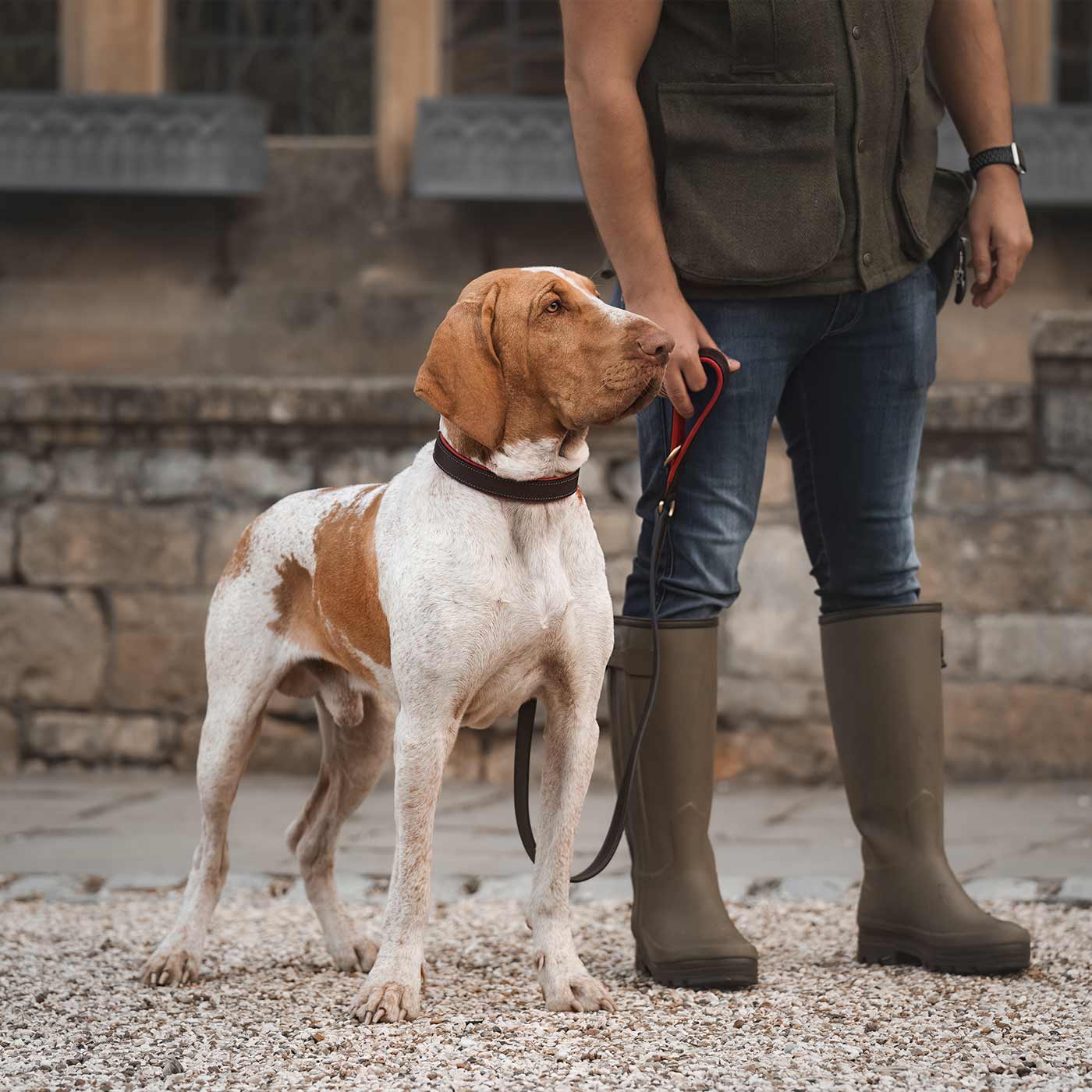 Discover dog walking luxury with our handcrafted Italian padded leather dog Lead in Brown & Red! The perfect Lead for dogs available now at Lords & Labradors    