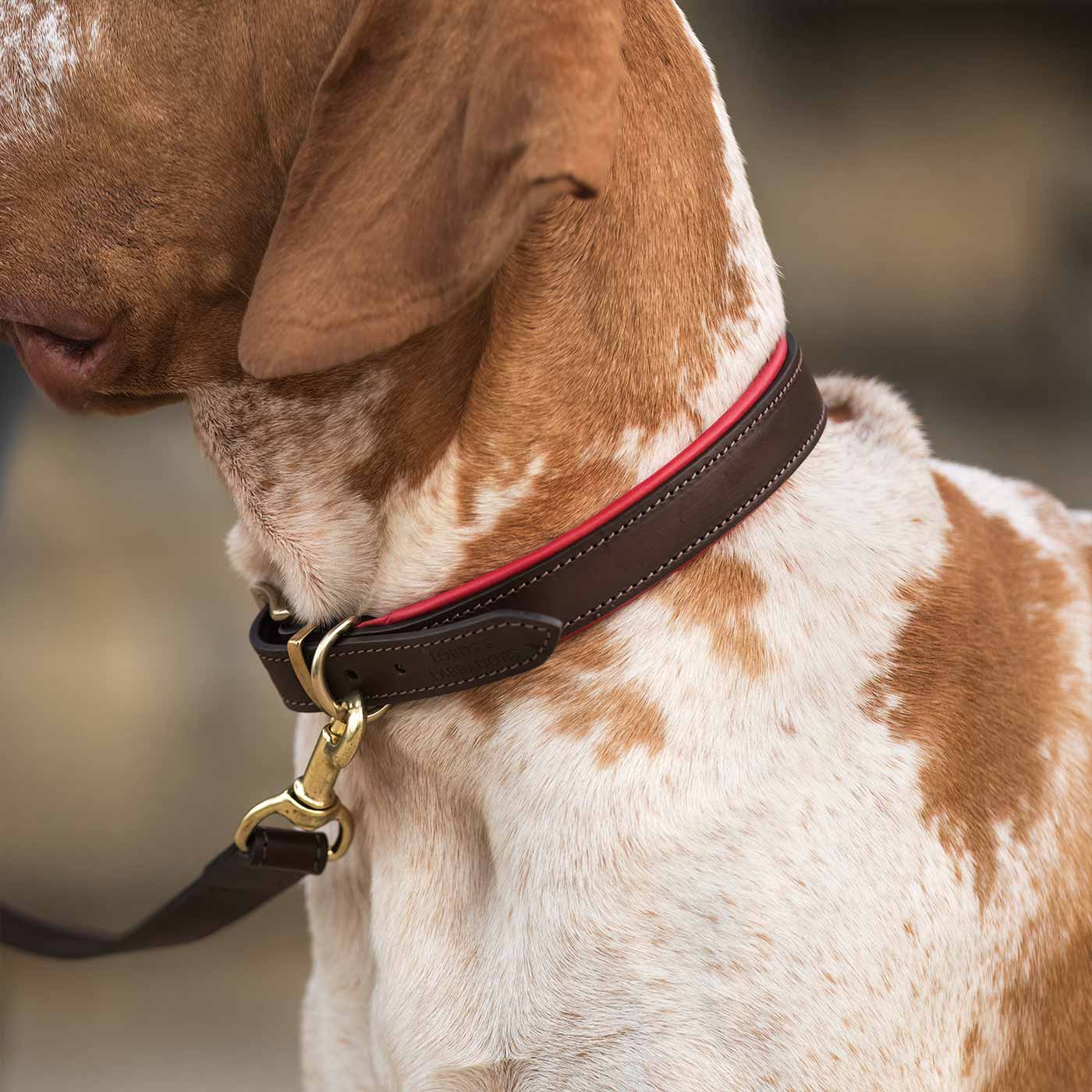 Discover dog walking luxury with our handcrafted Italian padded leather dog collar in Brown & Red! The perfect collar for dogs available now at Lords & Labradors 