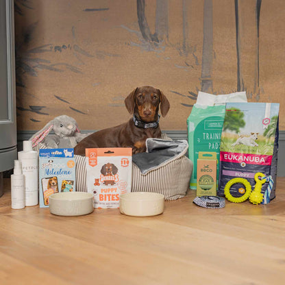 Puppy Essentials Pack for Toy/Small Breeds by Lords & Labradors