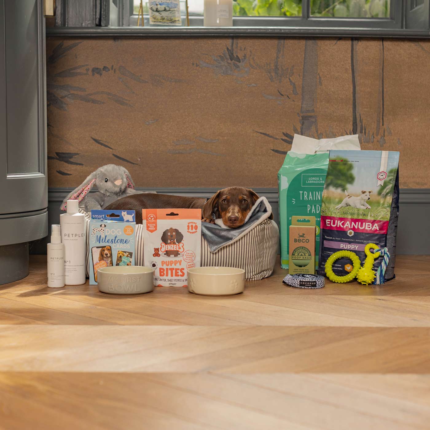 Eukanuba clearance puppy box