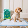 Puppy Training Pads by Lords & Labradors