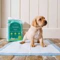 Lords & Labradors Puppy Training Pads
