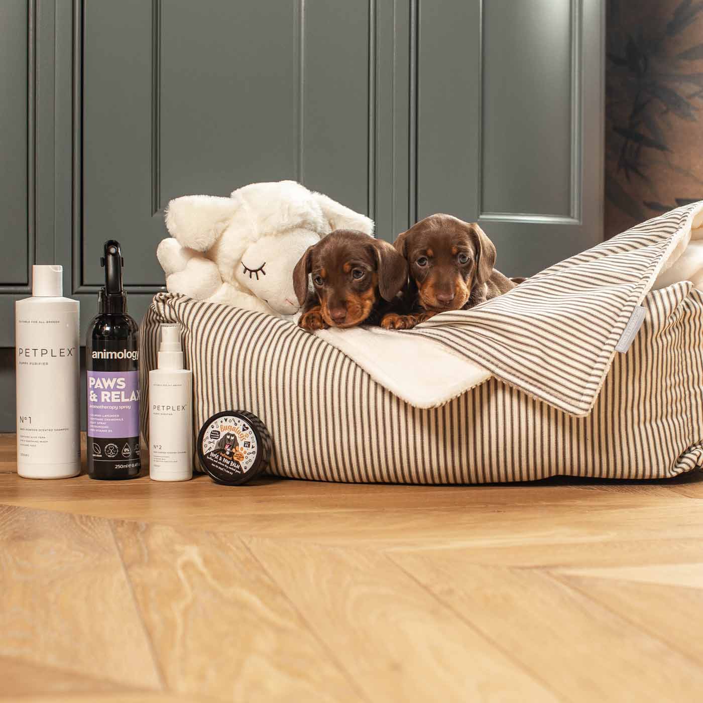 Lords & Labradors Puppy Bath & Bed Gift Set