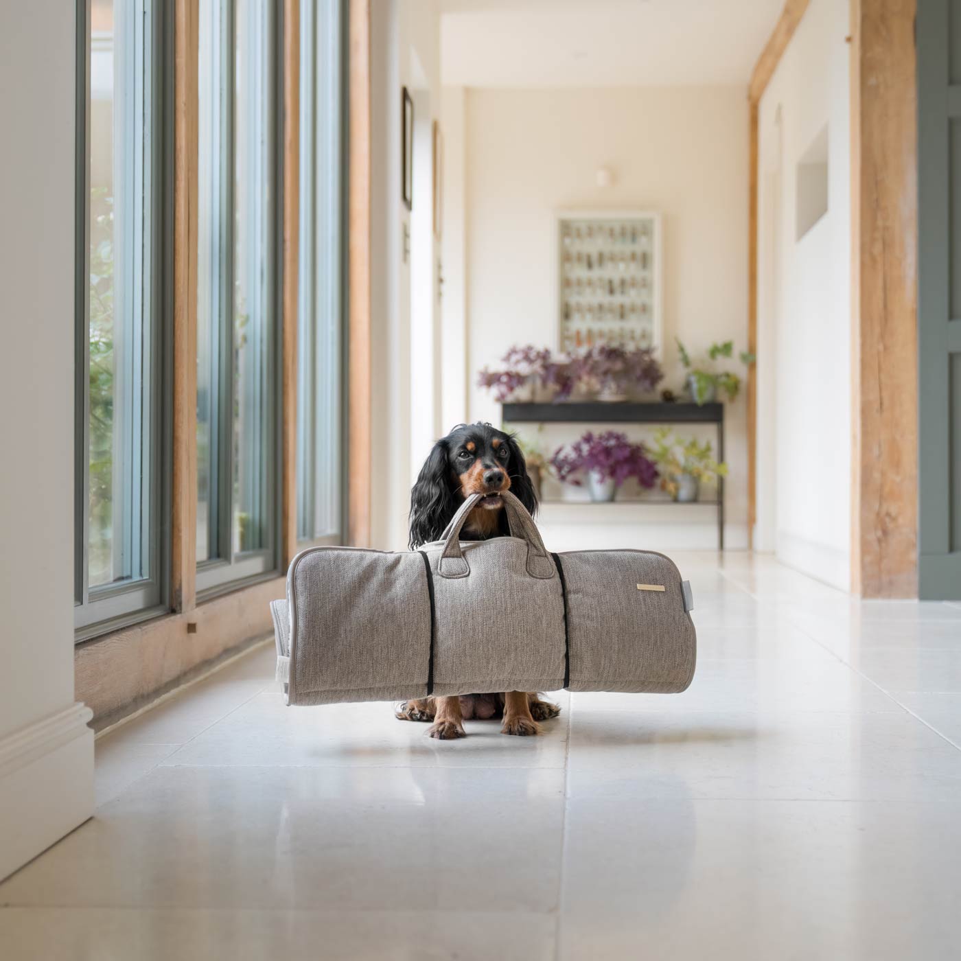 Embark on the perfect pet travel with our luxury Roll & Go Travel Mat! Featuring handles for easy carrying, the perfect addition that can be used on the Go in the car, at home or as a travel bed! Available now at Lords & Labradors