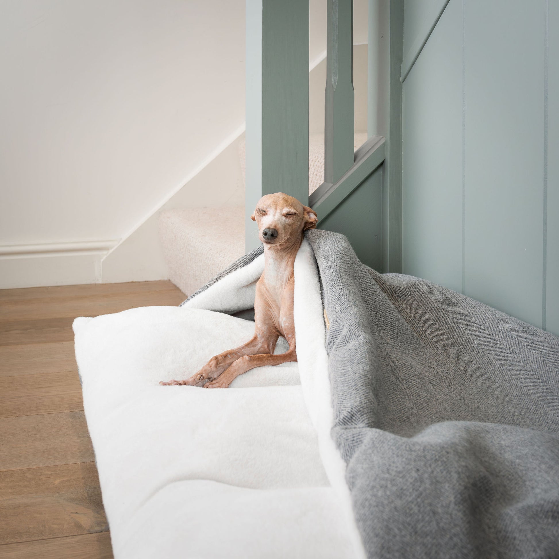 Discover The Perfect Burrow For Your Pet, Our Stunning Sleepy Burrow Dog Beds In Pewter Herringbone Is The Perfect Bed Choice For Your Pet, Available Now at Lords & Labradors