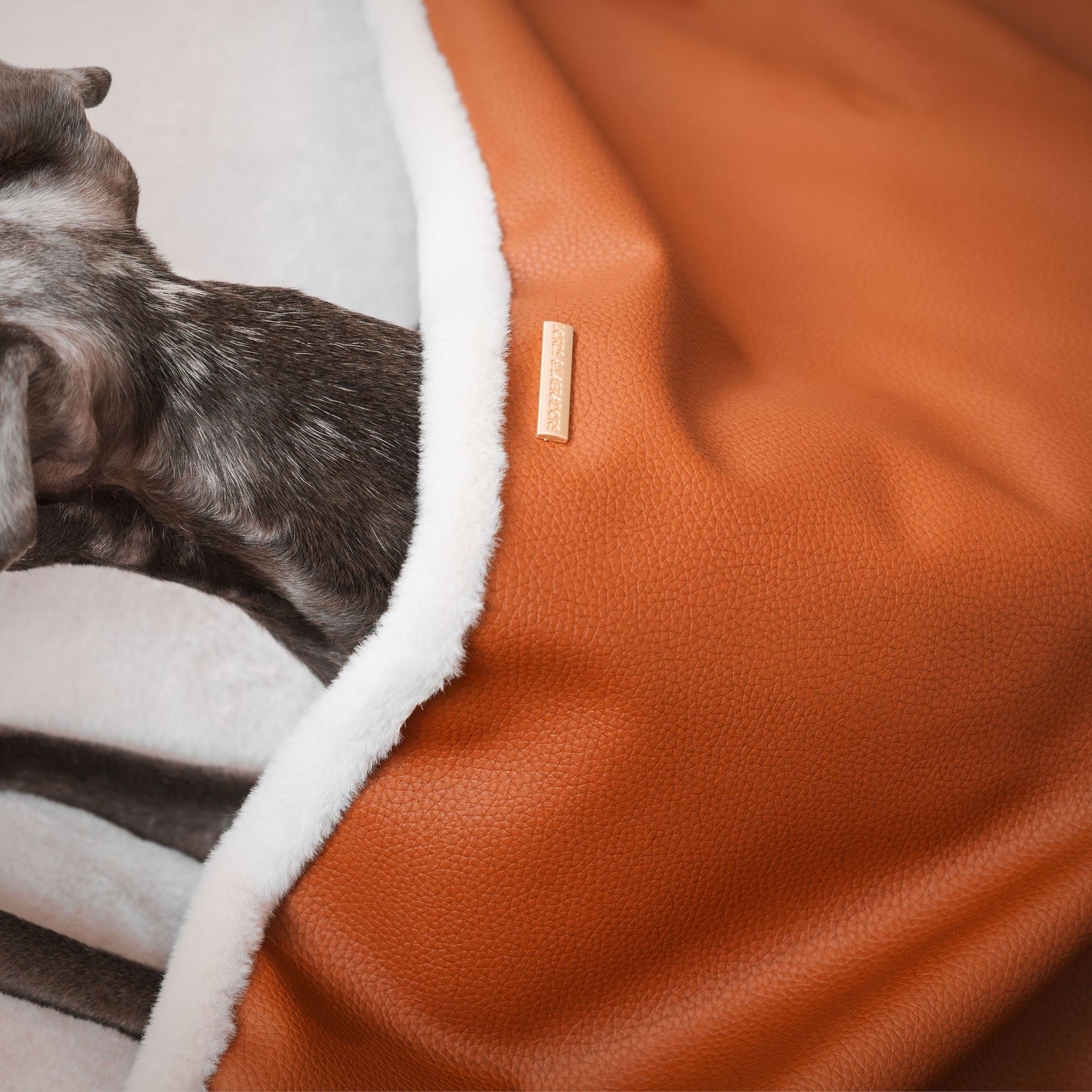  Discover The Perfect Burrow For Your Pet, Our Stunning Sleepy Burrow Dog Beds In Ember Rhino Faux Leather Is The Perfect Bed Choice For Your Pet, Available Now at Lords & Labradors
