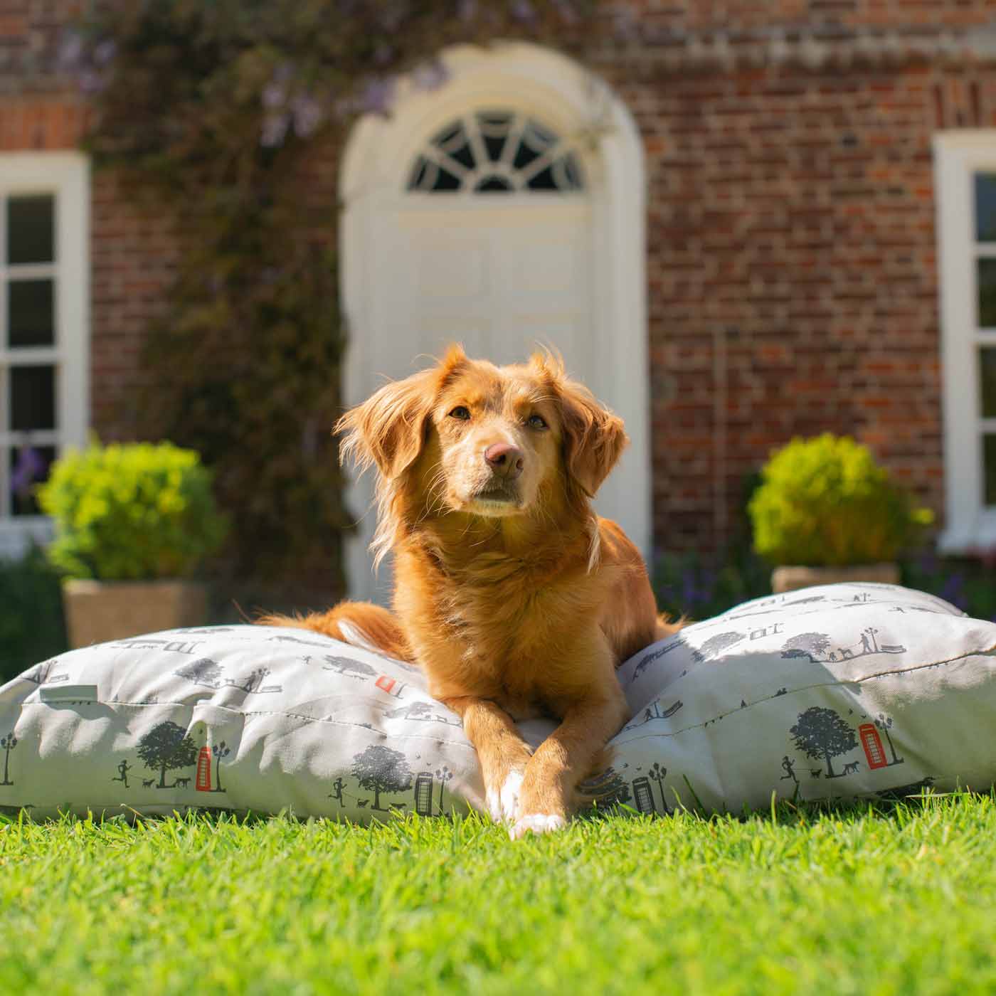 Luxury Sleepeeze Dog Cushion in Hyde Park, The Perfect Pet Bed Time Accessory! Available Now at Lords & Labradors