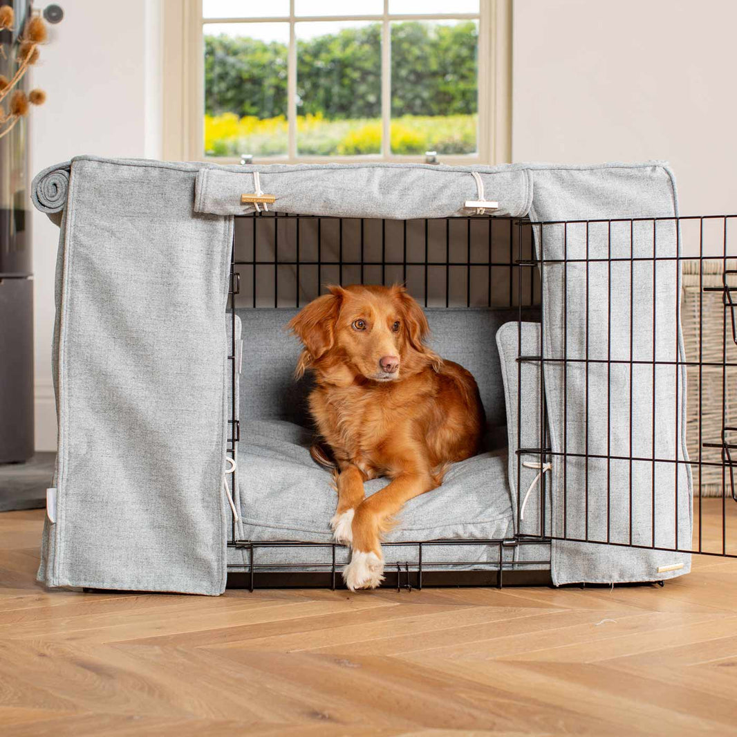 Gallery Detail: How To Stop Your Dog Destroying Their Bed L L