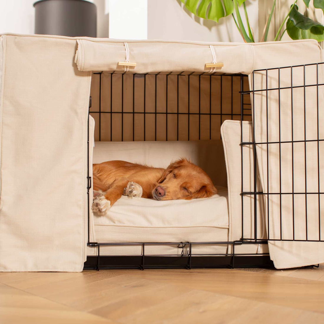 A closer look at Dog Crate With Room Divider