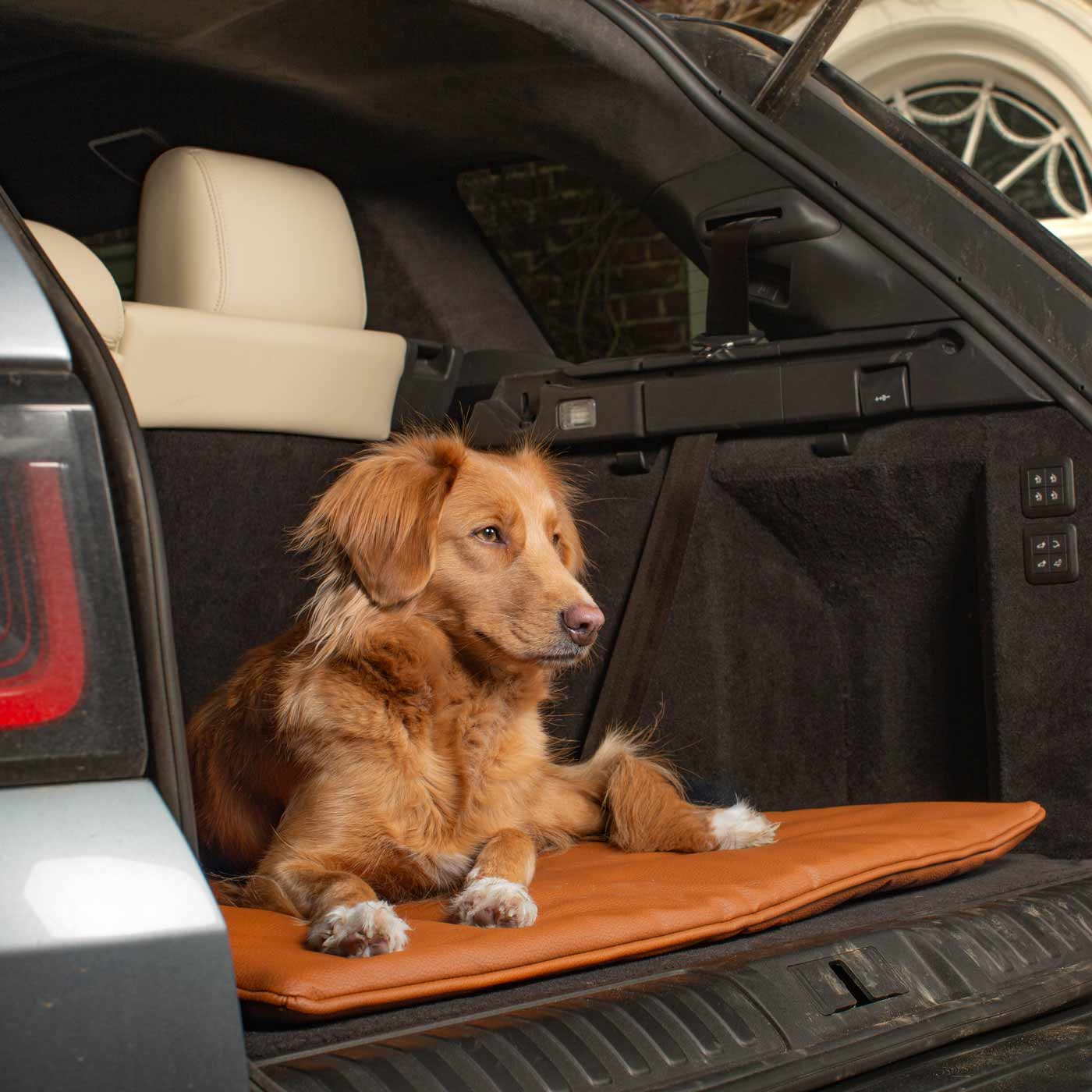 Embark on the perfect pet travel with our luxury Travel Mat in Essentials Rhino Ember. Featuring a Carry handle for on the move once Rolled up for easy storage, can be used as a seat cover, boot mat or travel bed! Available now at Lords & Labradors