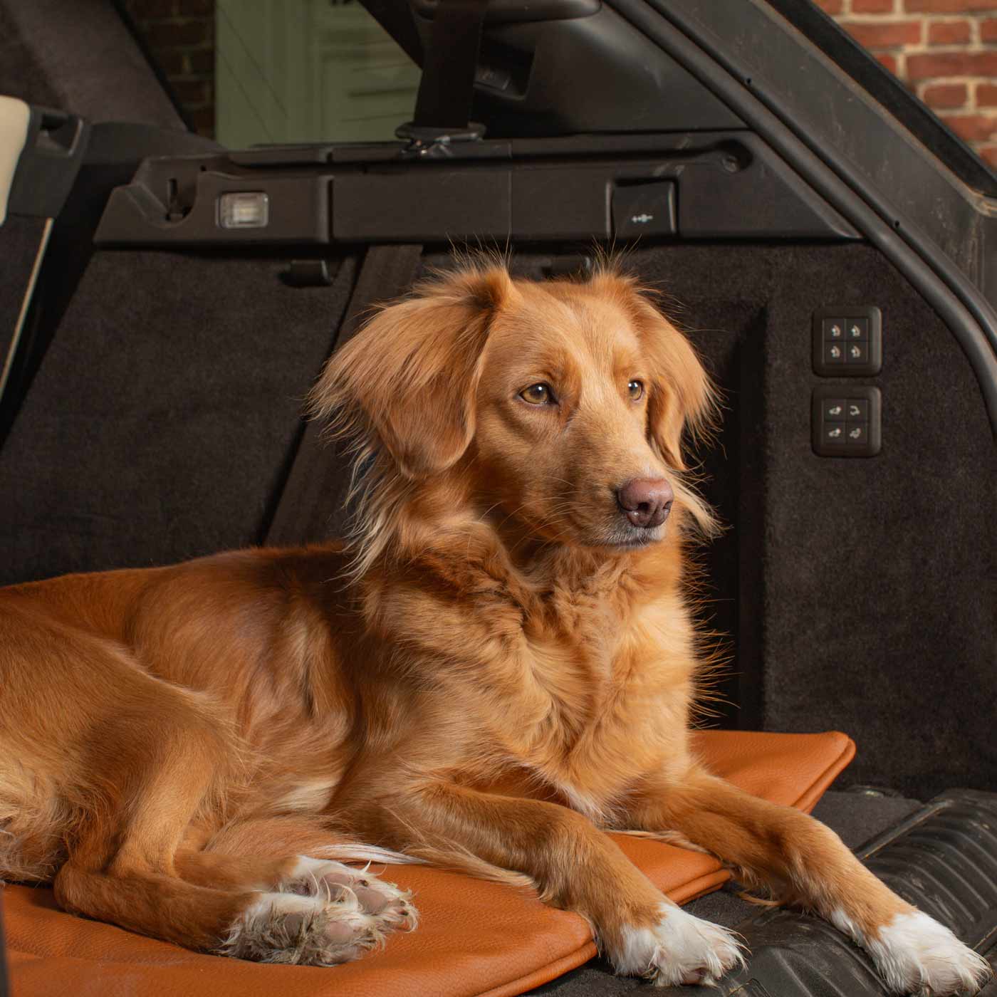 Embark on the perfect pet travel with our luxury Travel Mat in Essentials Rhino Ember. Featuring a Carry handle for on the move once Rolled up for easy storage, can be used as a seat cover, boot mat or travel bed! Available now at Lords & Labradors