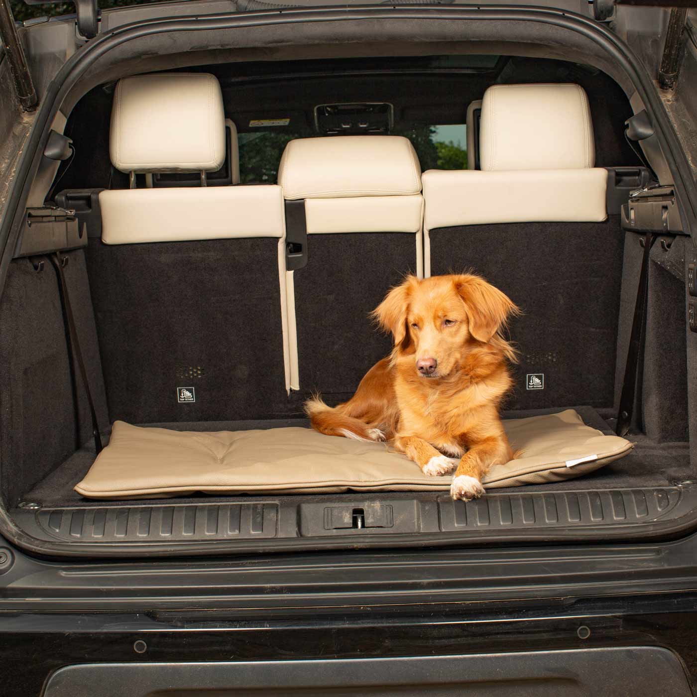Embark on the perfect pet travel with our luxury Travel Mat in Rhino Sand. Featuring a Carry handle for on the move once Rolled up for easy storage, can be used as a seat cover, boot mat or travel bed! Available now at Lords & Labradors