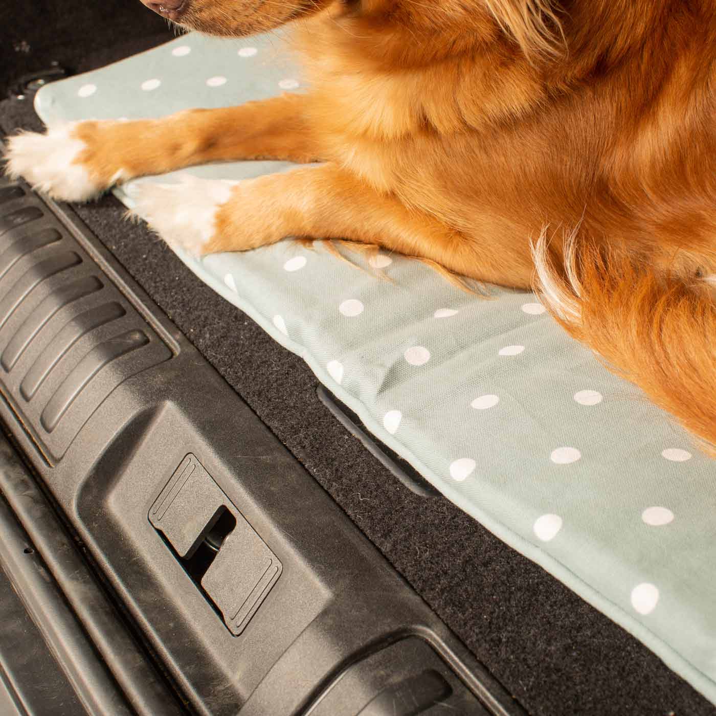 Embark on the perfect pet travel with our luxury Travel Mat in Essentials Duck Egg Spot. Featuring a Carry handle for on the move once Rolled up for easy storage, can be used as a seat cover, boot mat or travel bed! Available now at Lords & Labradors