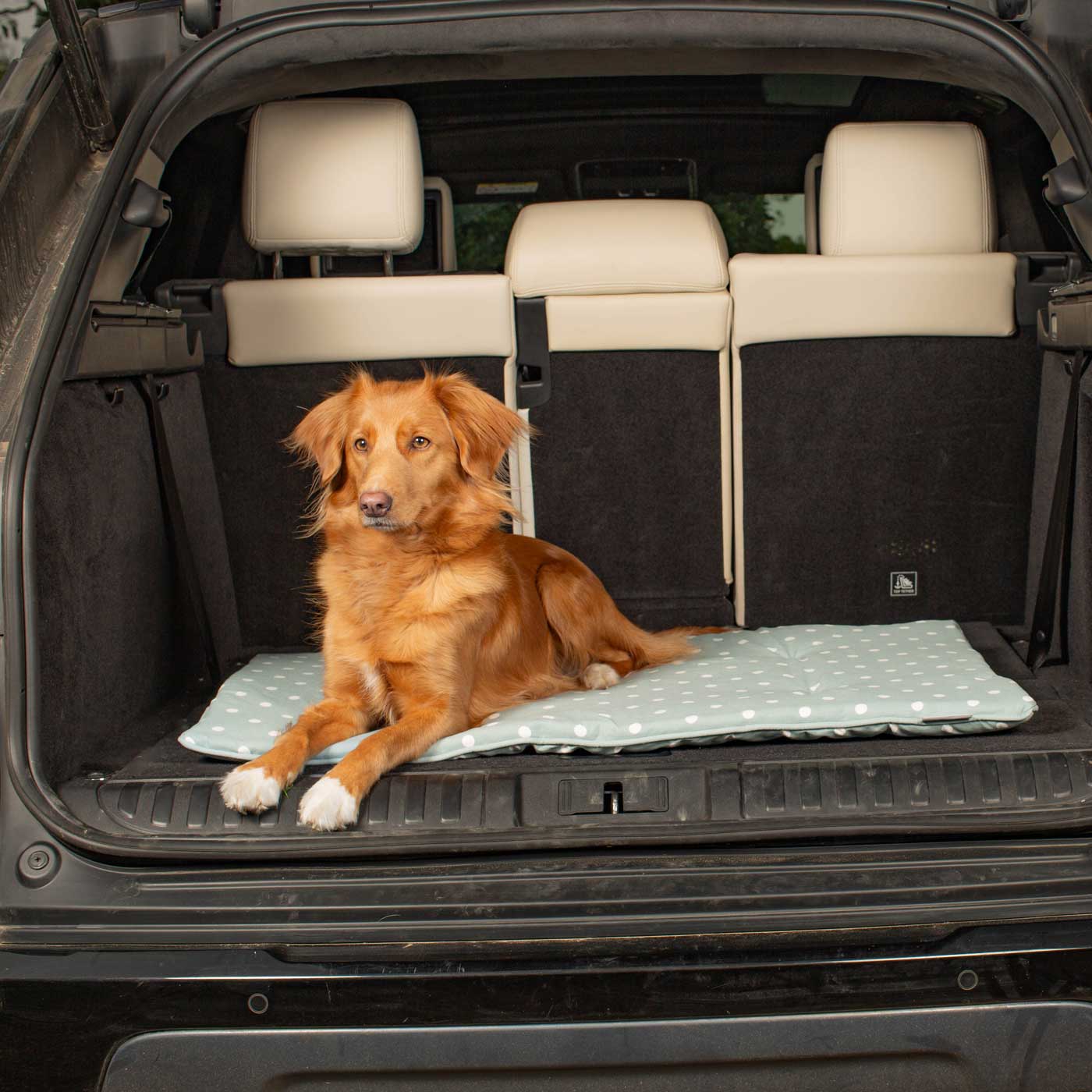 Embark on the perfect pet travel with our luxury Travel Mat in Essentials Duck Egg Spot. Featuring a Carry handle for on the move once Rolled up for easy storage, can be used as a seat cover, boot mat or travel bed! Available now at Lords & Labradors