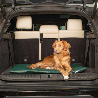 Lords & Labradors Travel Mat in Forest Rhino Faux Leather