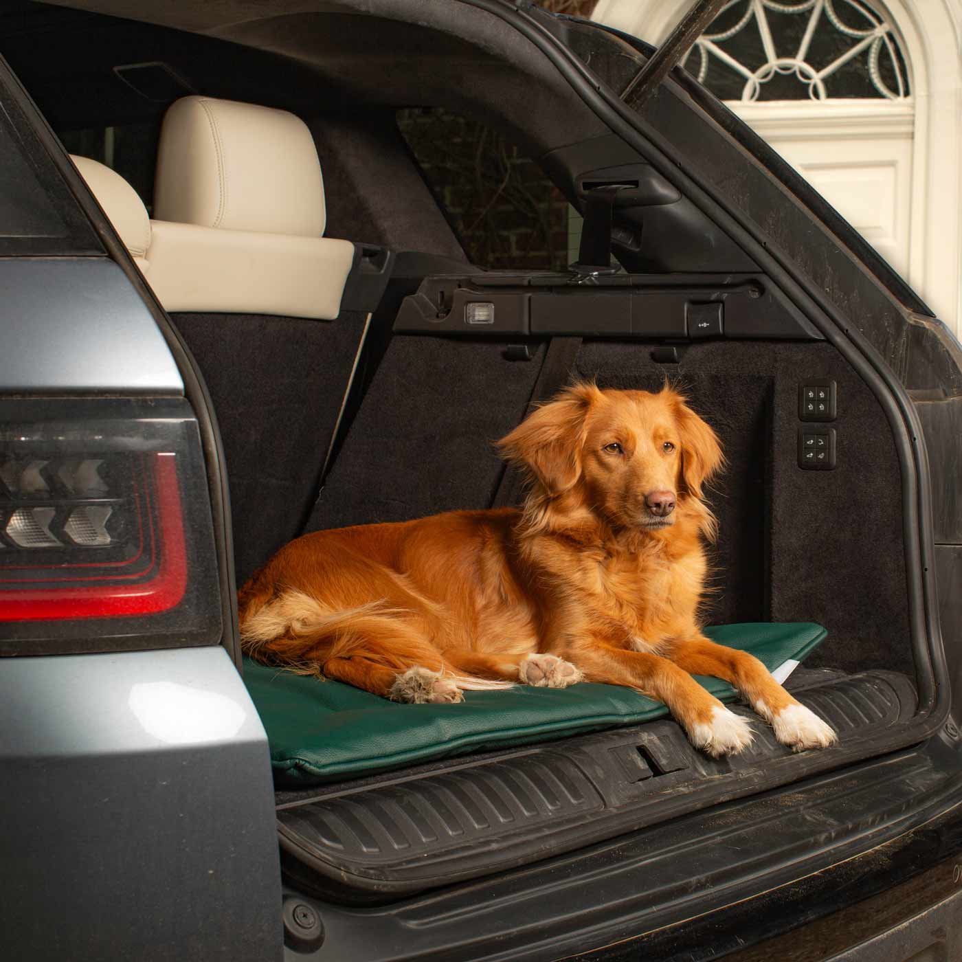 Embark on the perfect pet travel with our luxury Travel Mat in Rhino Forest (Green). Featuring a Carry handle for on the move once Rolled up for easy storage, can be used as a seat cover, boot mat or travel bed! Available now at Lords & Labradors 
