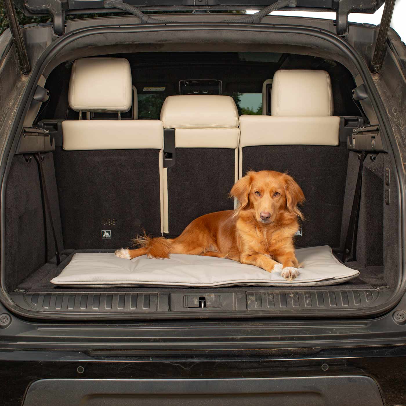 Embark on the perfect pet travel with our luxury Travel Mat in Rhino Granite. Featuring a Carry handle for on the move once Rolled up for easy storage, can be used as a seat cover, boot mat or travel bed! Available now at Lords & Labradors