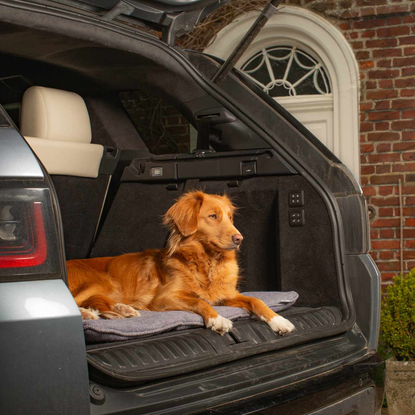 Embark on the perfect pet travel with our luxury Travel Mat in Oxford Herringbone. Featuring a Carry handle for on the move once Rolled up for easy storage, can be used as a seat cover, boot mat or travel bed! Available now at Lords & Labradors