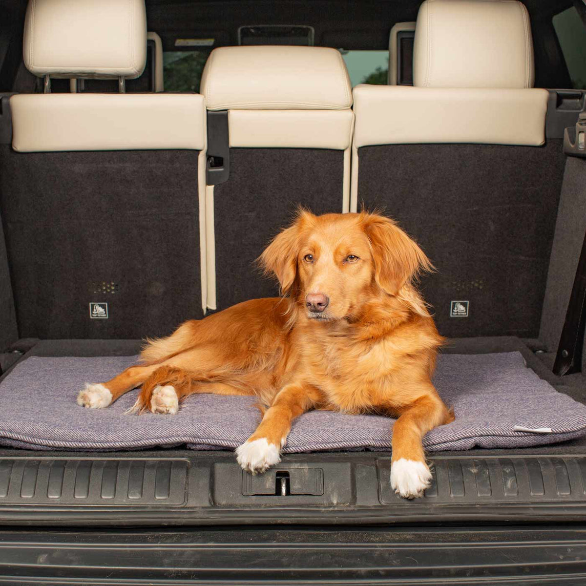 Embark Mat Oxford Pewter Herringbone Travel Mat | Dog Travel Bed | Lords & Labradors