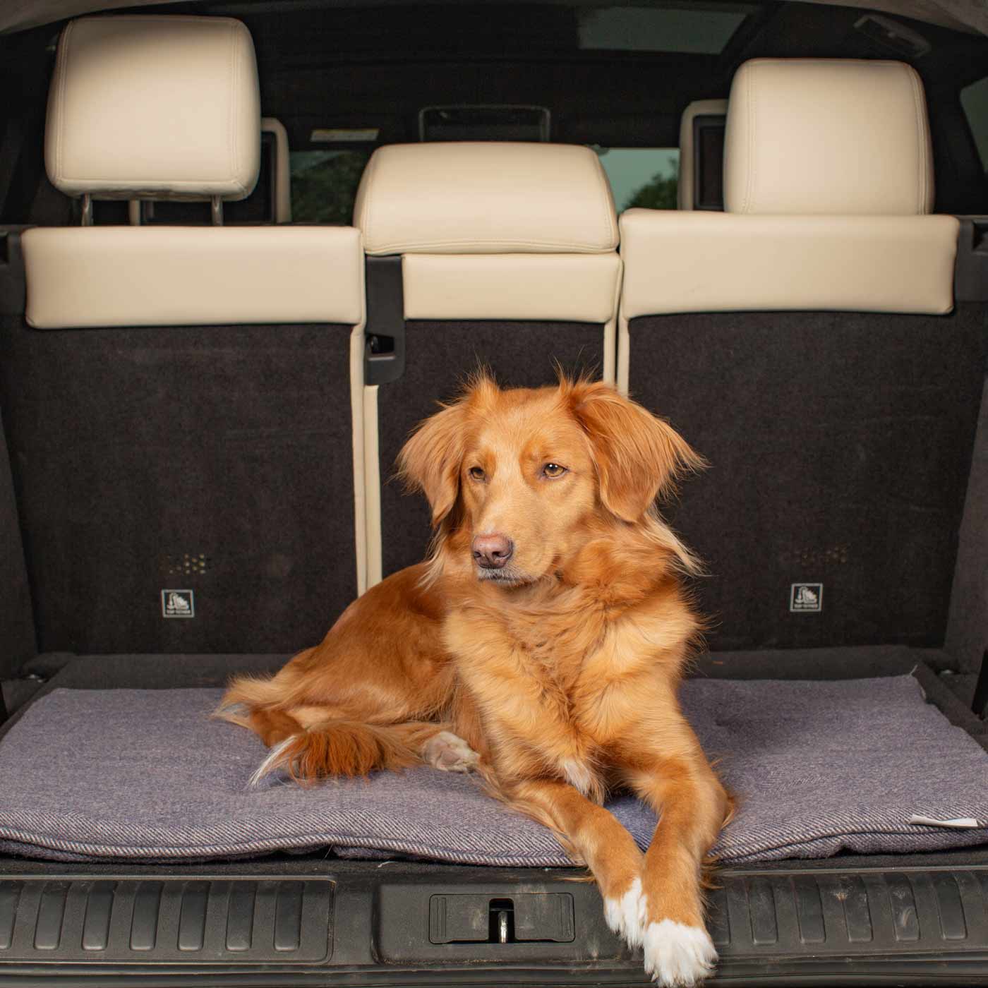 Embark on the perfect pet travel with our luxury Travel Mat in Oxford Herringbone. Featuring a Carry handle for on the move once Rolled up for easy storage, can be used as a seat cover, boot mat or travel bed! Available now at Lords & Labradors